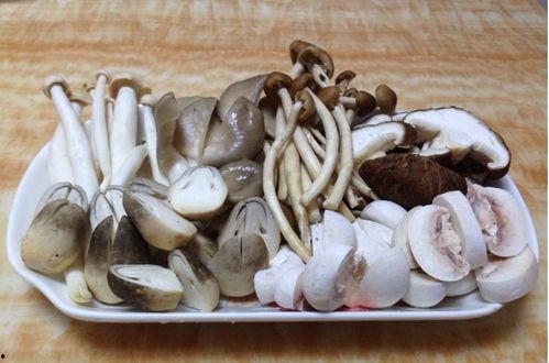 蘑菇网吃瓜爆料