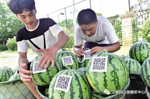 罗庄区吃瓜爆料事件,揭秘背后真相与争议