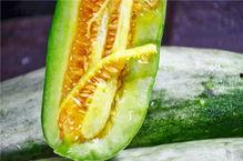 网红爆料吃瓜,揭秘娱乐圈吃瓜大事件！